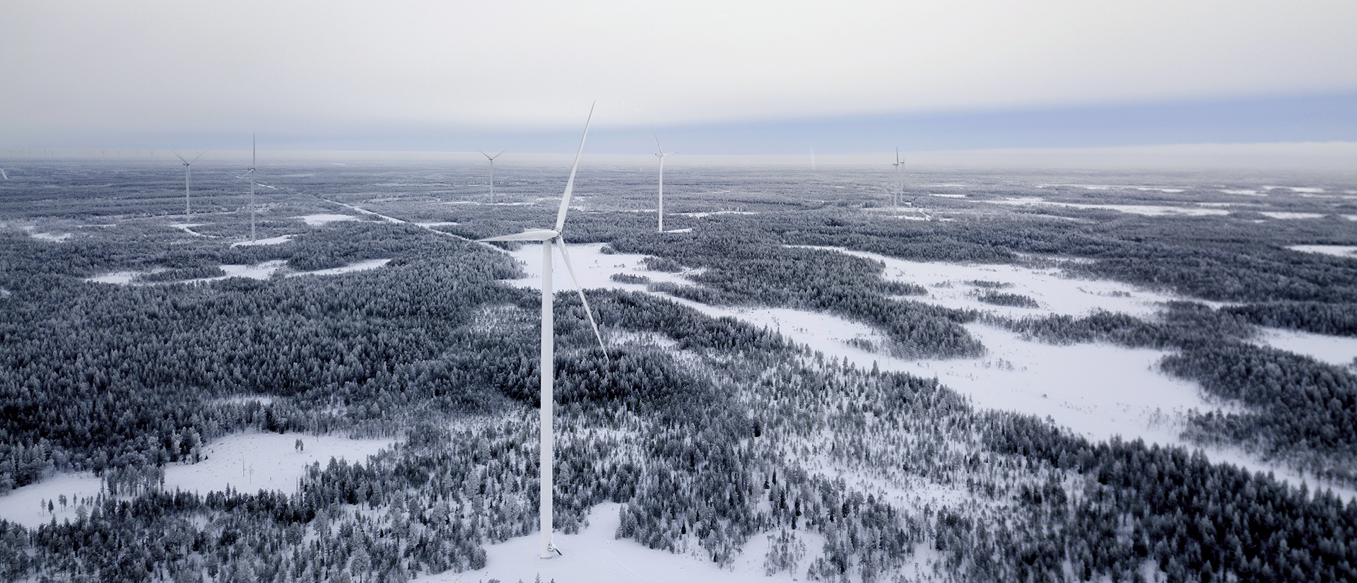 Vindkraftverk ger hushållen energi och placerarna avkastning